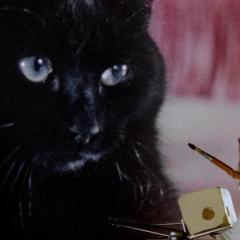 食人猫大报复 - objMOhldbBBqjj2hSJRyyBorqKz.jpg
