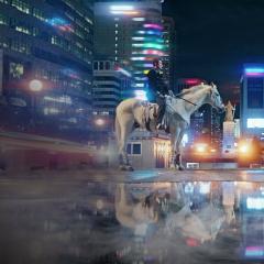 国王：永远的君主 - d3JURIRyAWELT1JELe56ia7gams.jpg