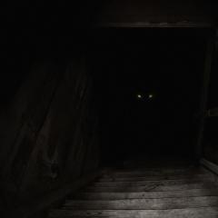 柜魔 - ffPToSJeEgK1VVpdsBPuGhL0vo1.jpg