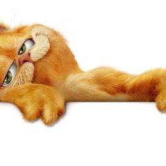 加菲猫 - dmXYWKgFxWymLsKCAy3MG1jp3Bp.jpg