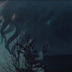 海星 - c8D27QCbS4EbQbKlyQdfTcYem1Q.jpg